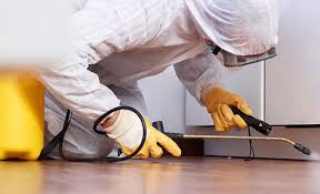 Emergency Pest Control Services in Byron, IL